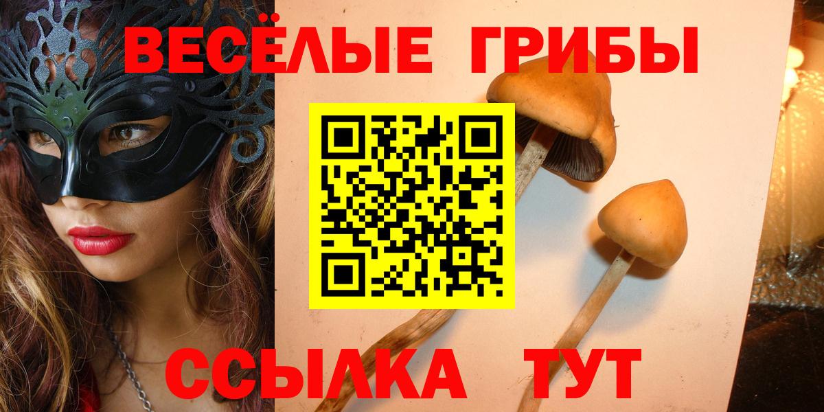 Псилоцибиновые грибы GOLDEN TEACHER Нерюнгри
