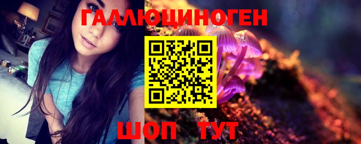 Нерюнгри  Псилоцибиновые грибы ЛСД  Вход с VPN 